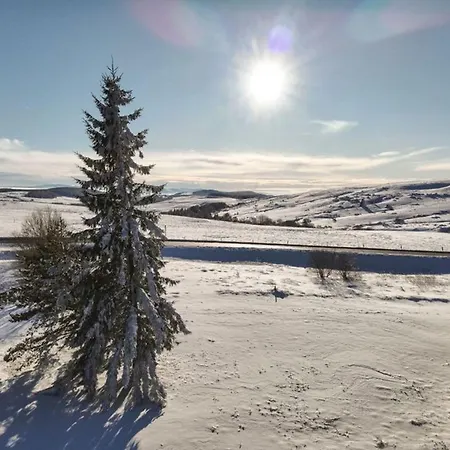 F3 Confortable Proche Des Pistes, Ideal Familles - Fr-1-814-46 Apartment Super Besse