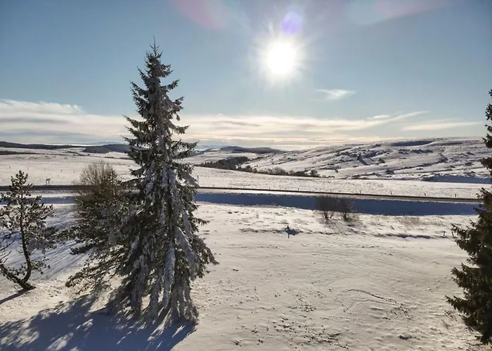 F3 Confortable Proche Des Pistes, Ideal Familles - Fr-1-814-46 Apartment Super Besse